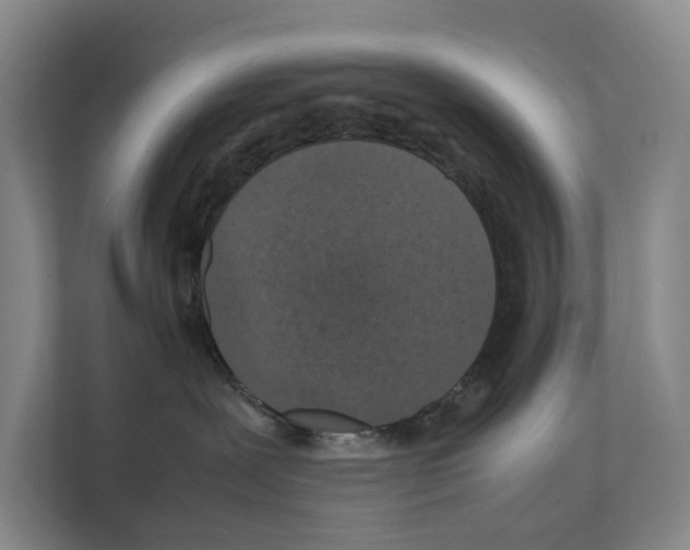 X0000111810239200909031437