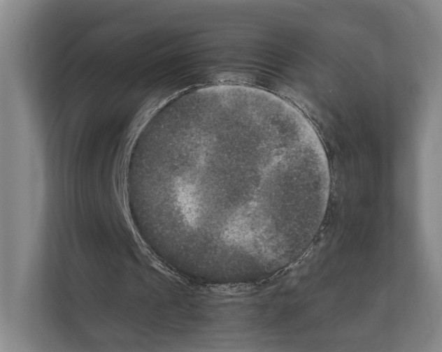 X0000111810241200909031436