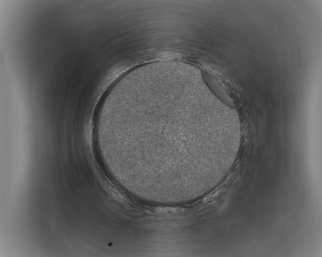 X0000111810242200909031436