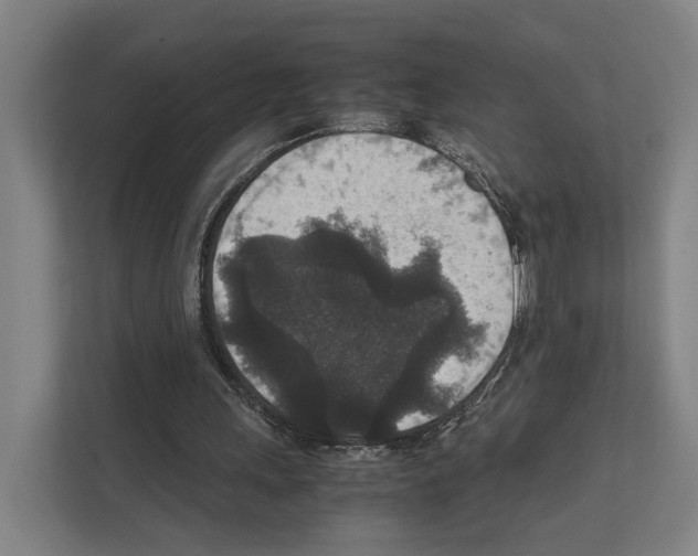 X0000111810243200909031436