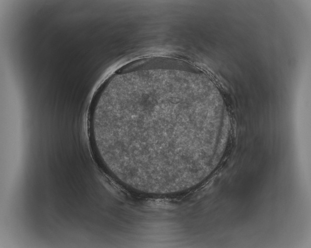 X0000111810244200909031436