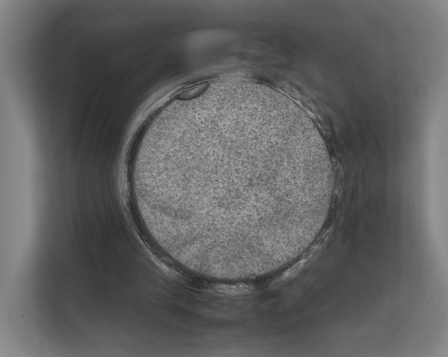 X0000111810245200909031436