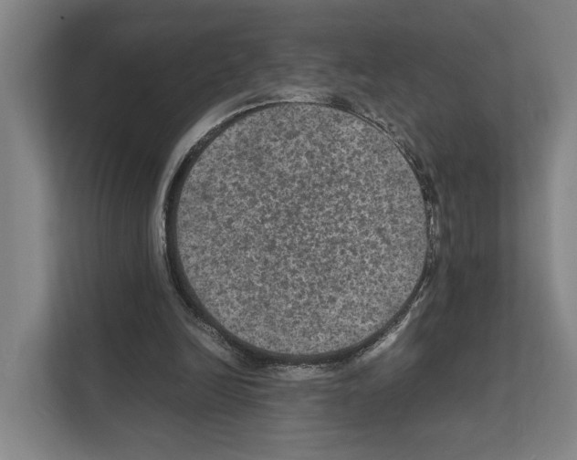 X0000111810246200909031436