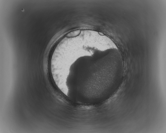X0000111810247200909031436