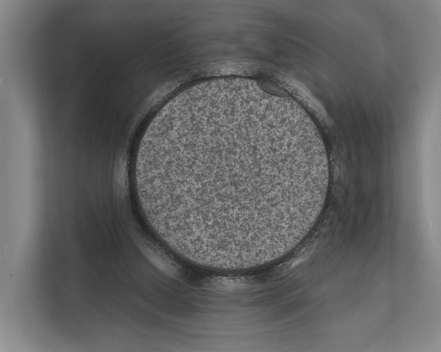 X0000111810250200909031436