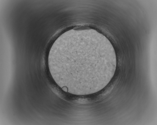 X0000111810256200909031436