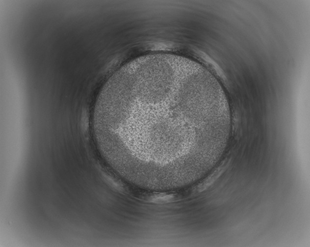 X0000111810257200909031436