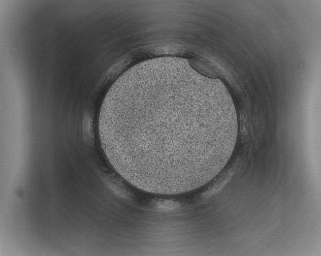 X0000111810258200909031436