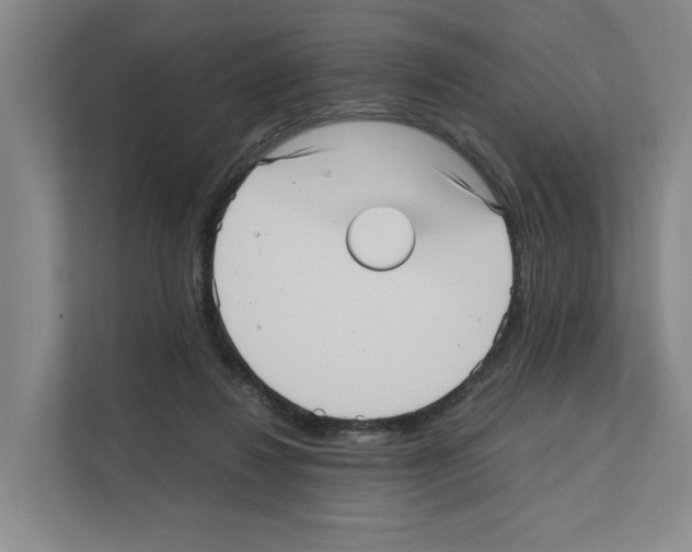 X0000111810260200909031436