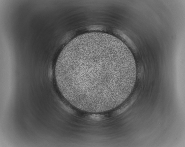 X0000111810261200909031436