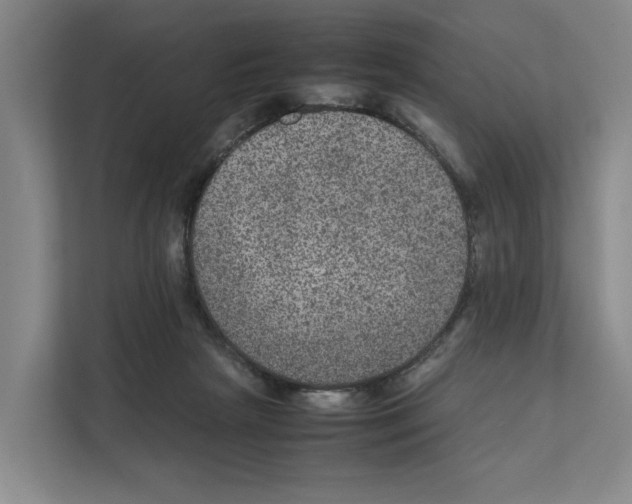 X0000111810265200909031436