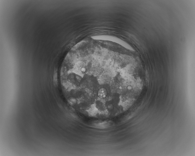 X0000111810267200909031436