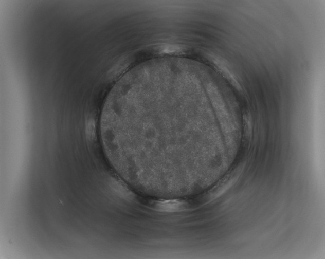 X0000111810269200909031436