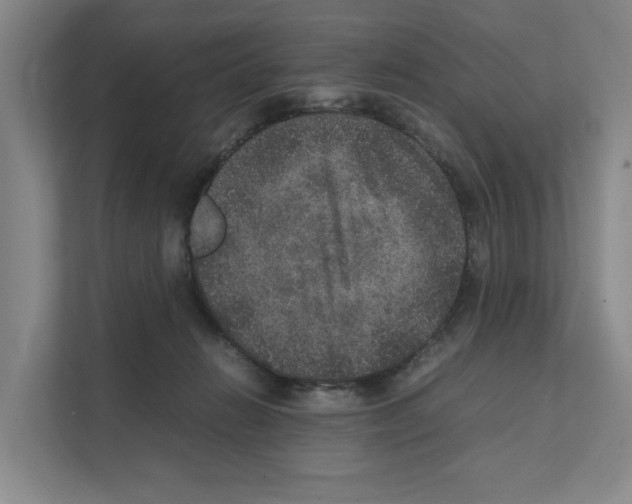 X0000111810270200909031436