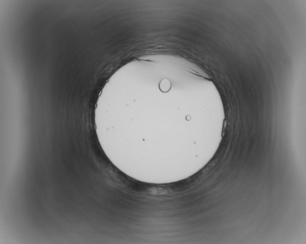 X0000111810272200909031436