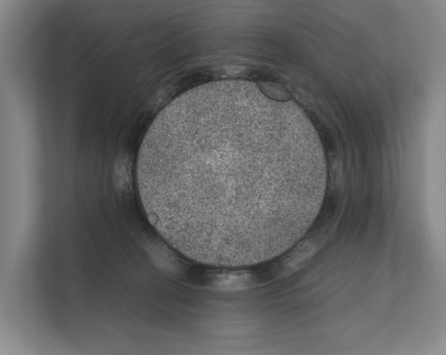 X0000111810274200909031436