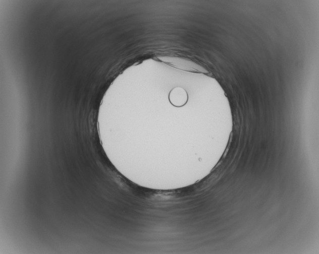 X0000111810280200909031436