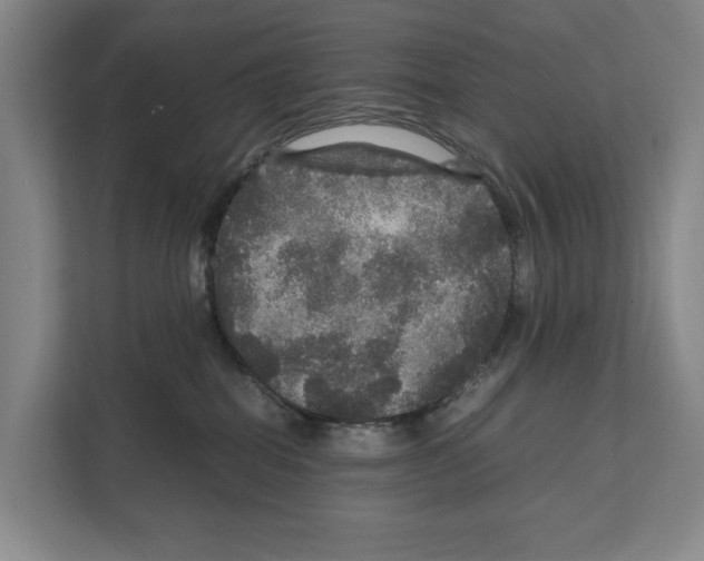 X0000111810282200909031436