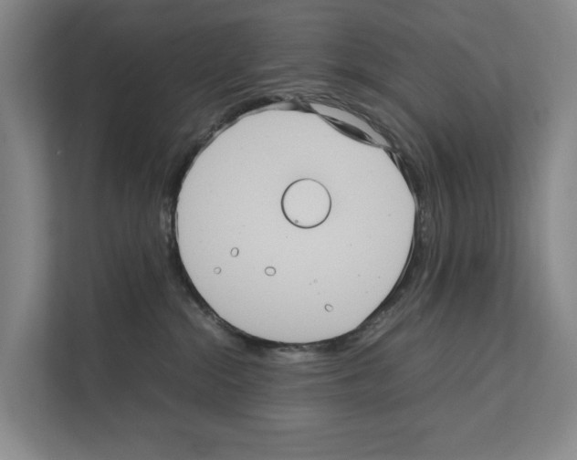 X0000111810284200909031436