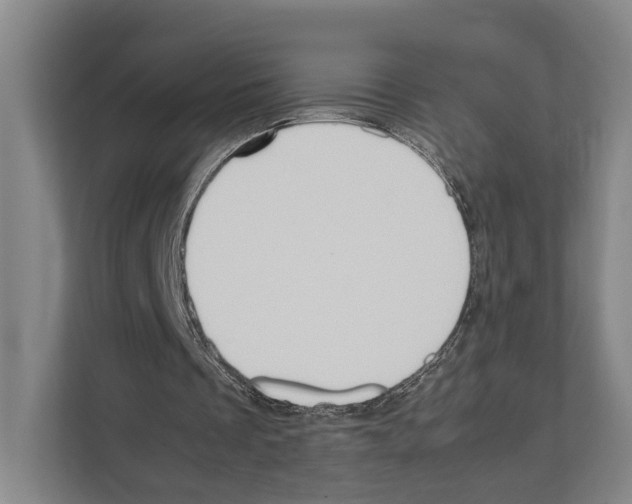 X0000111810289200909031436