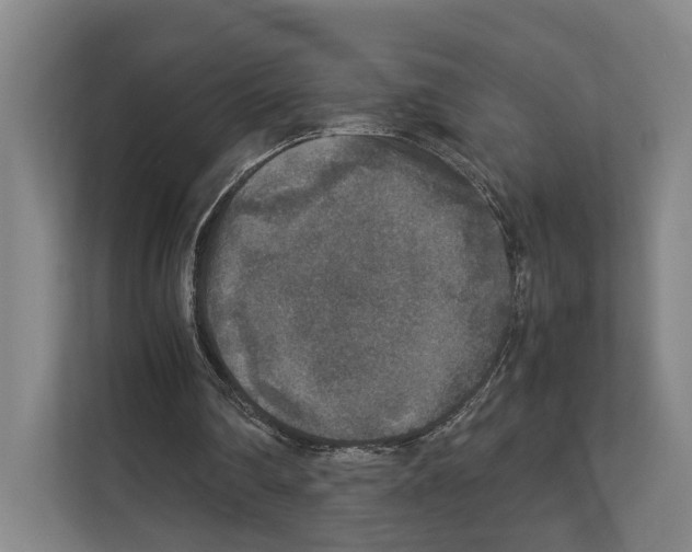 X0000111810290200909031436