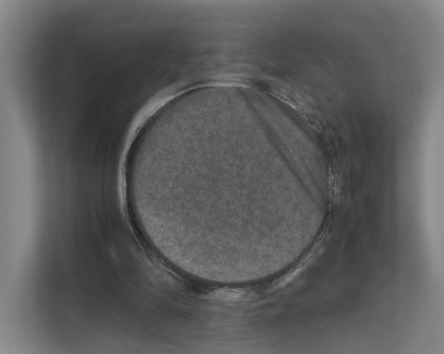 X0000111810294200909031436
