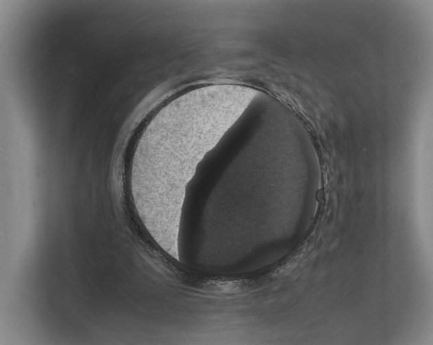 X0000111810295200909031436