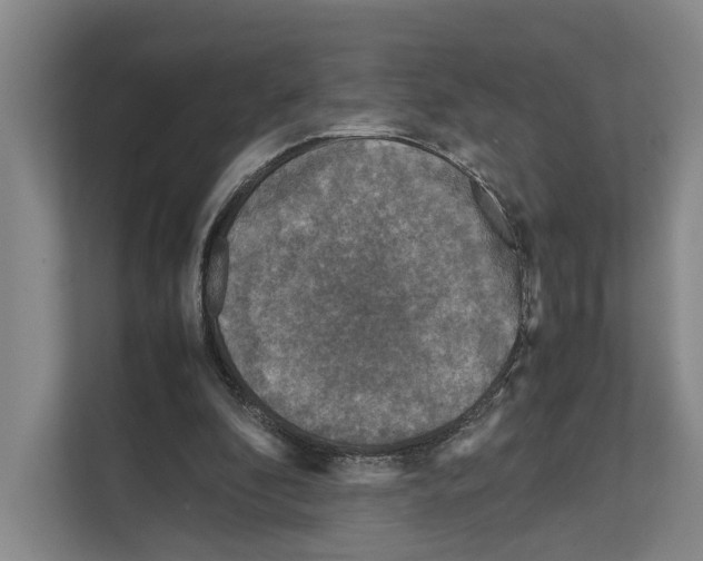 X0000111810296200909031436