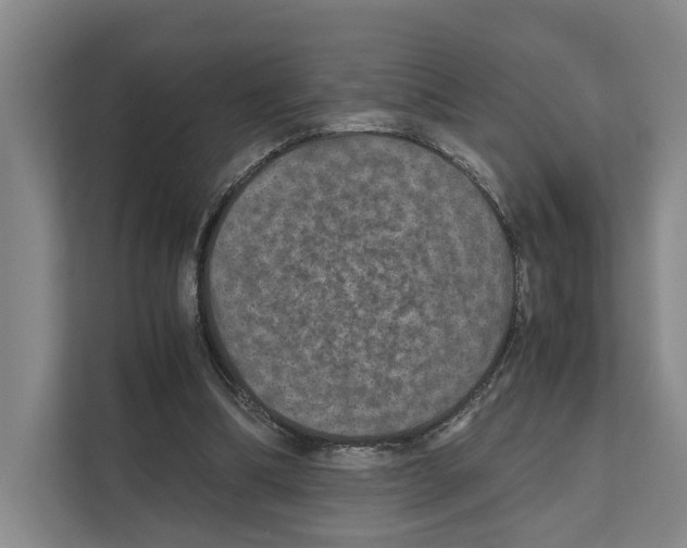 X0000111810298200909031436