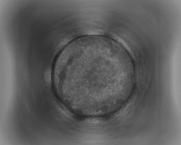 X0000111810299200909031436