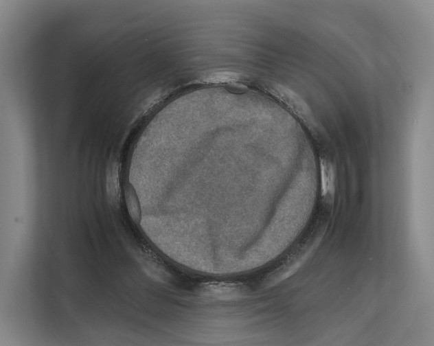 X0000111810300200909031436