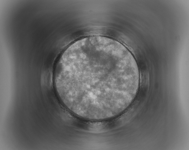 X0000111810301200909031436