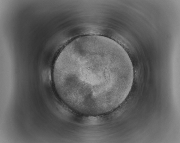 X0000111810302200909031436
