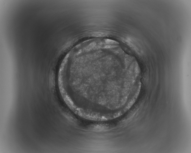X0000111810303200909031436