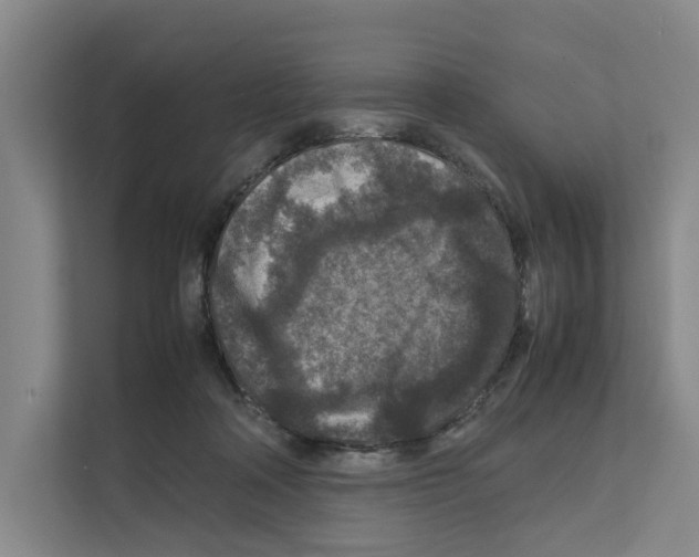 X0000111810314200909031436