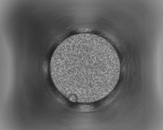 X0000111810315200909031436