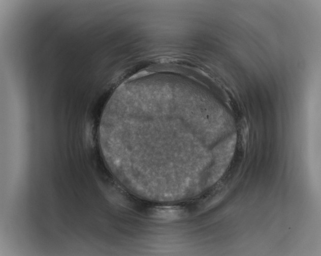 X0000111810316200909031436