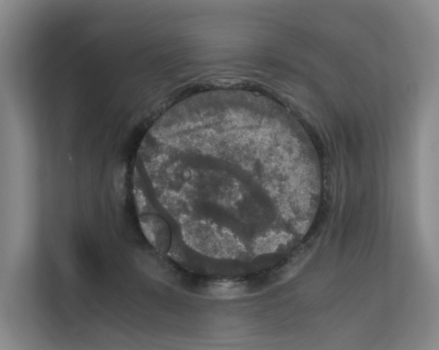 X0000111810319200909031435