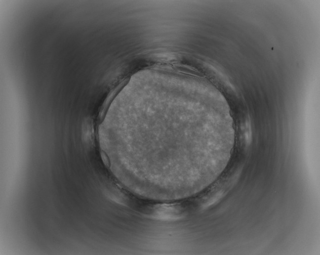 X0000111810320200909031435