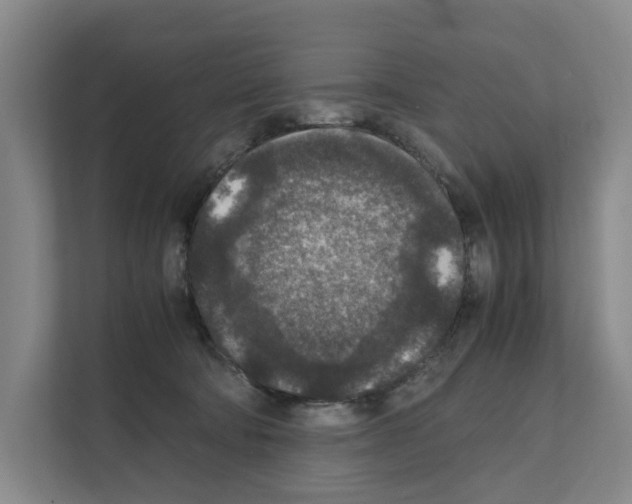 X0000111810322200909031435
