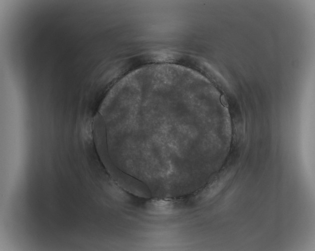X0000111810325200909031435