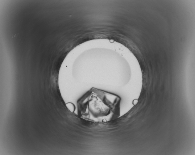 X0000111810329200909031435