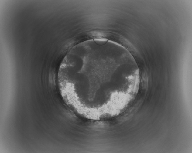 X0000111810330200909031435