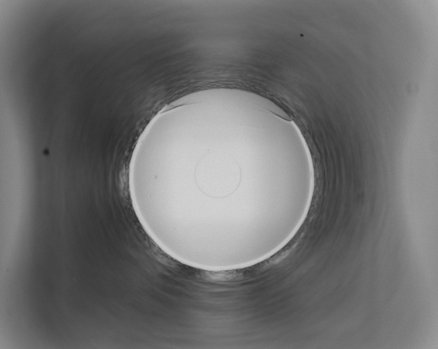 X0000111810336200909031435