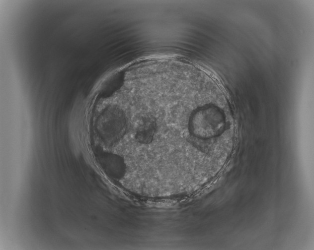 X0000111810337200909031435
