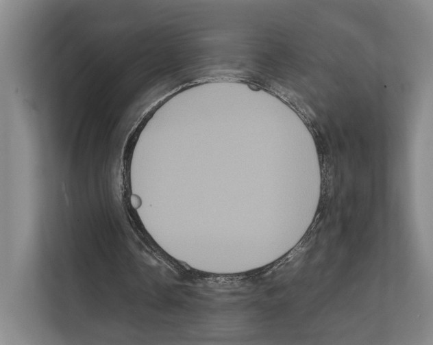 X0000111810338200909031435