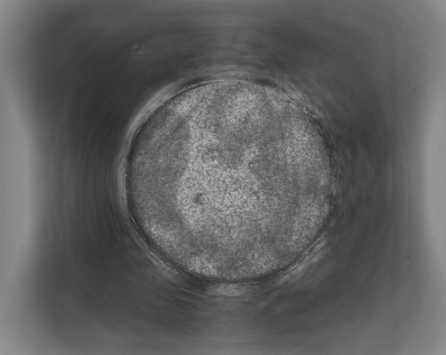 X0000111810341200909031435