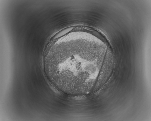 X0000111810345200909031435