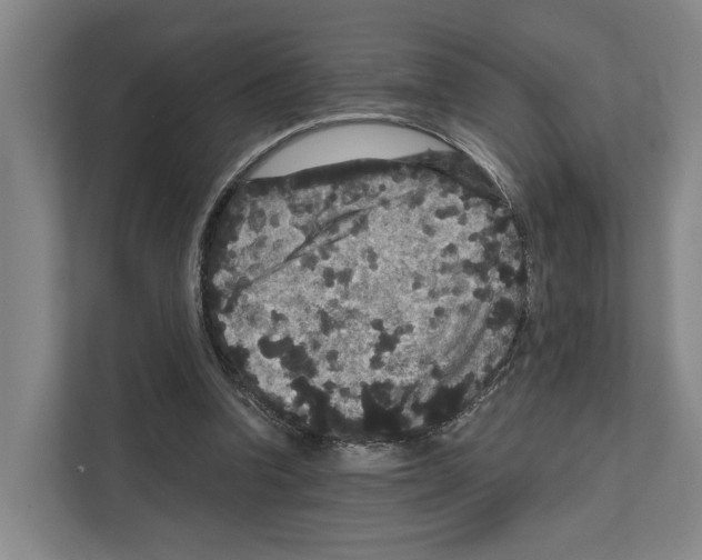 X0000111810346200909031435