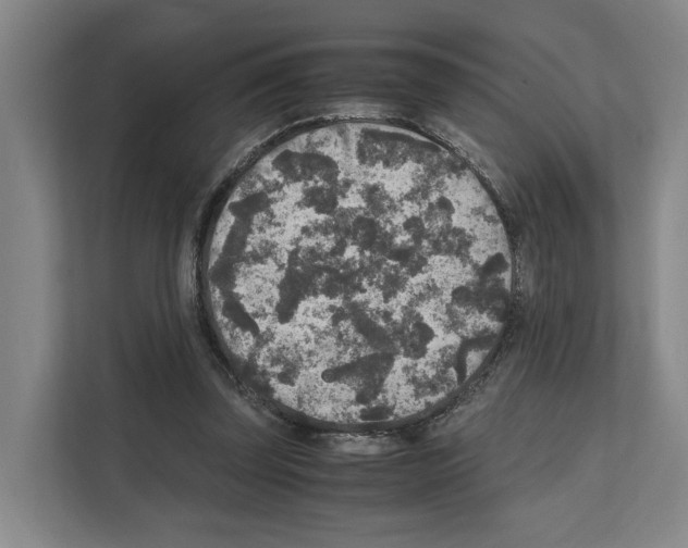 X0000111810347200909031435